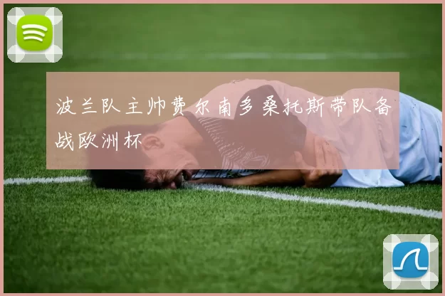 波兰队主帅费尔南多桑托斯带队备战欧洲杯