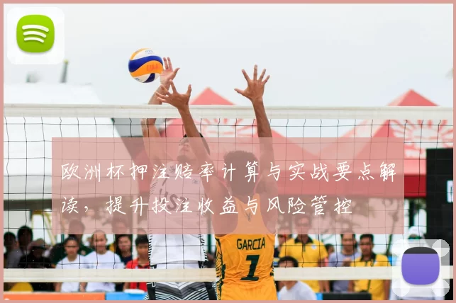 欧洲杯押注赔率计算与实战要点解读,提升投注收益与风险管控