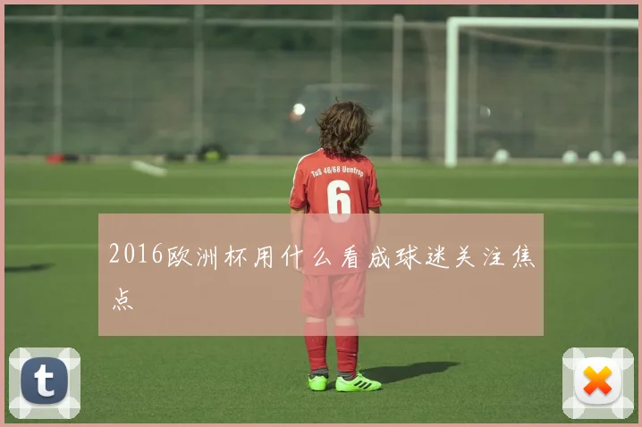 2016欧洲杯用什么看成球迷关注焦点