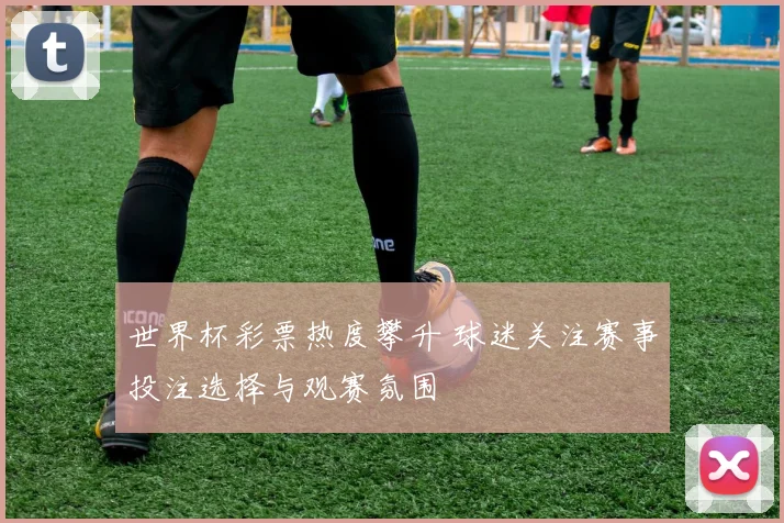 世界杯彩票热度攀升 球迷关注赛事投注选择与观赛氛围